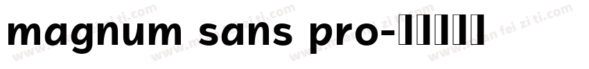 magnum sans pro字体转换